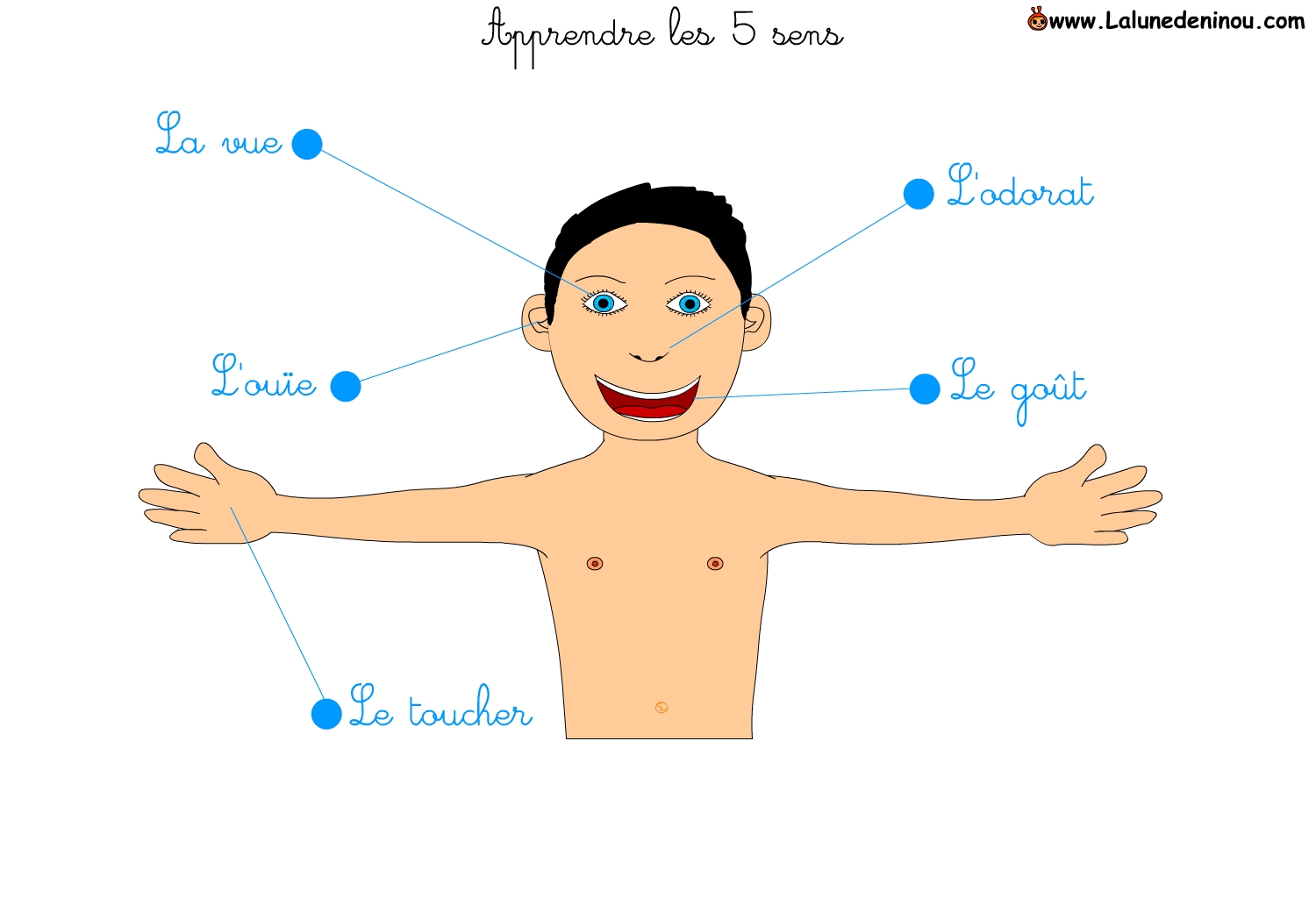 2º EN FRANÇAIS  Les 5 sens